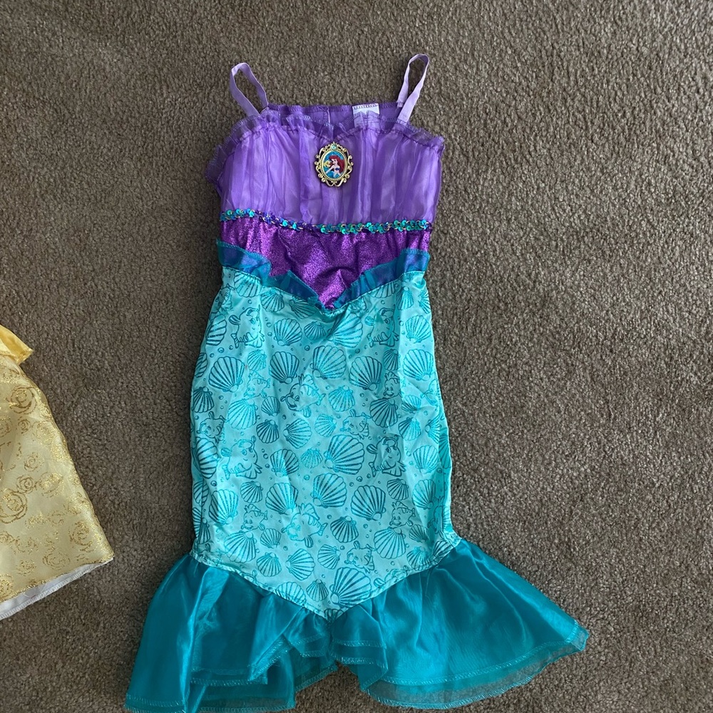 Disney Princess dress
